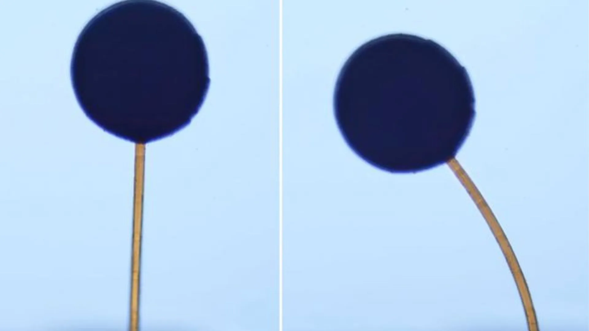 MIT's new gel turns into microscopic, magnetically-controlled robots